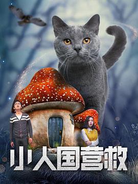 亚洲伦理电影在线观看